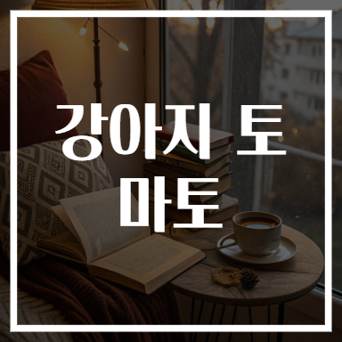 강아지 토마토