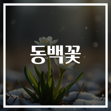 동백꽃