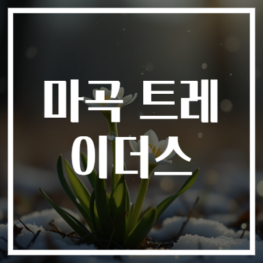 마곡 트레이더스