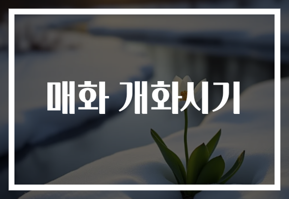 매화 개화시기