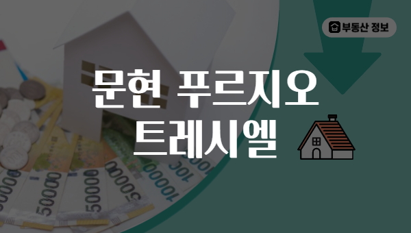 문현 푸르지오 트레시엘