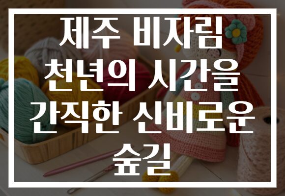 제주 비자림 천년의 시간을 간직한 신비로운 숲길