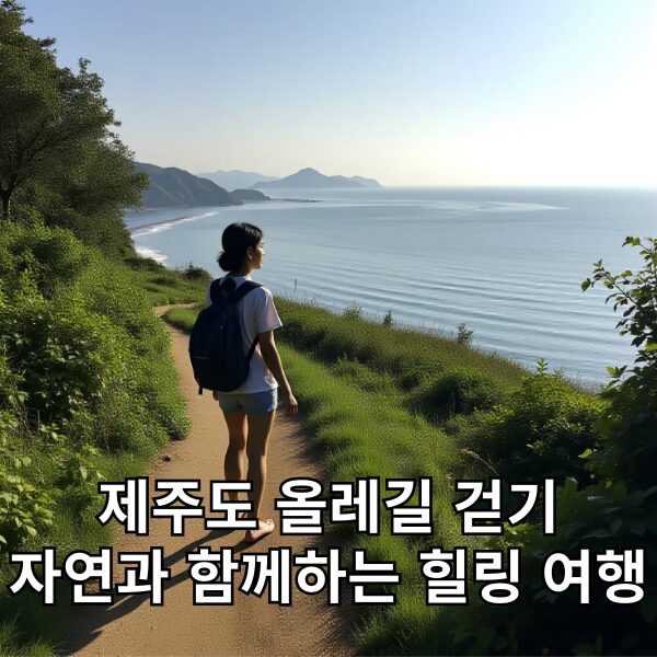 제주도 올레길 걷기 자연과 함께하는 힐링 여행