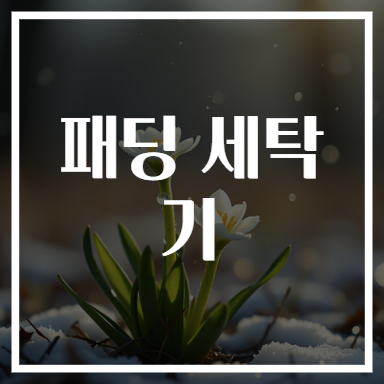 패딩 세탁기