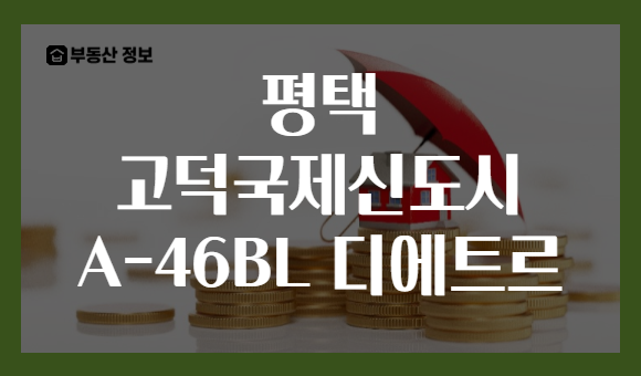 평택 고덕국제신도시 A-46BL 디에트르