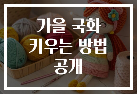 가을 국화 키우는 방법 공개
