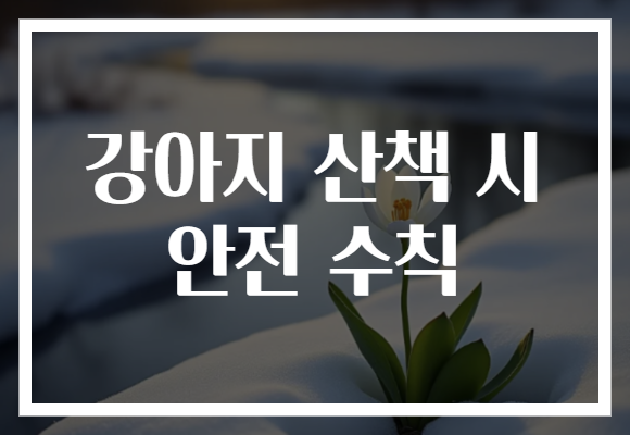 강아지 산책 시 안전 수칙