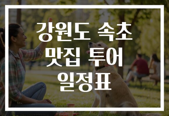 강원도 속초 맛집 투어 일정표
