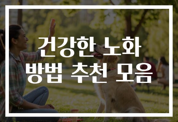 건강한 노화 방법 추천 모음