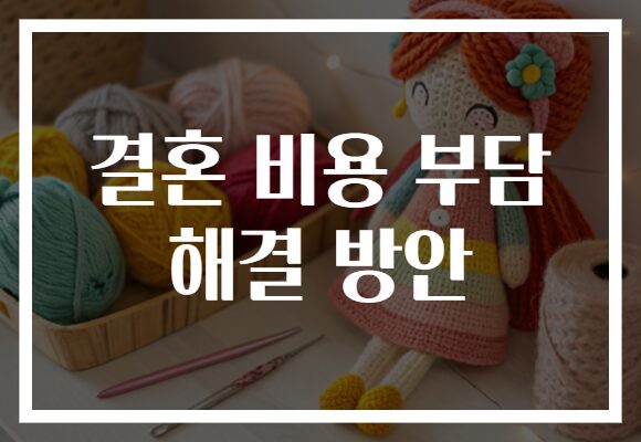 결혼 비용 부담 해결 방안