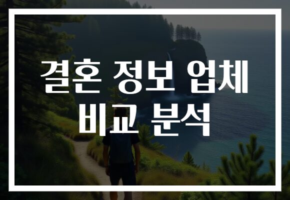 결혼 정보 업체 비교 분석