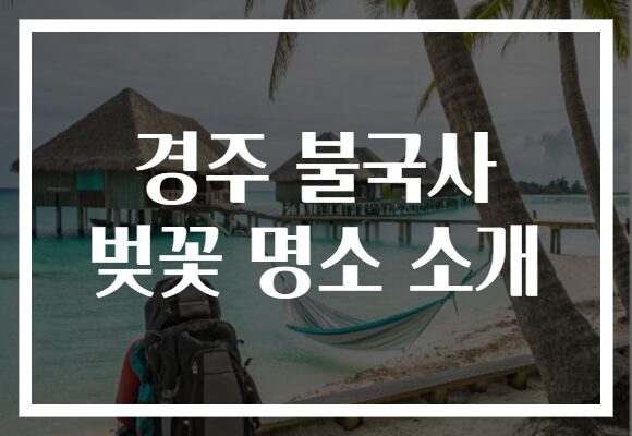 경주 불국사 벚꽃 명소 소개