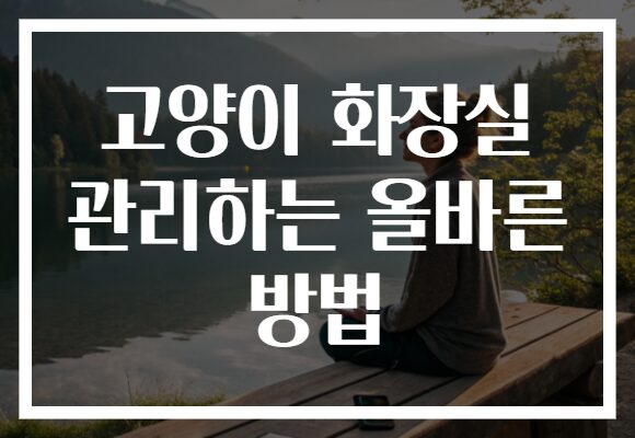 고양이 화장실 관리하는 올바른 방법