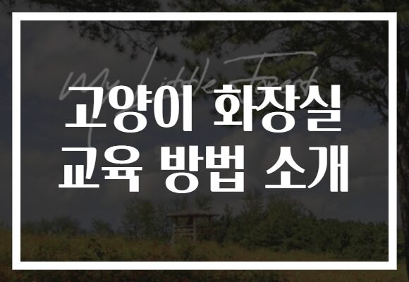 고양이 화장실 교육 방법 소개