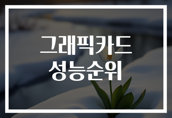 그래픽카드 성능순위