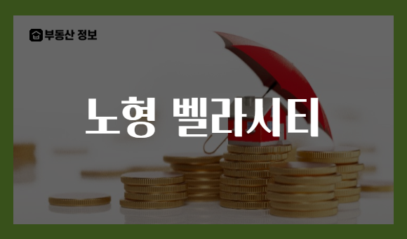 노형 벨라시티