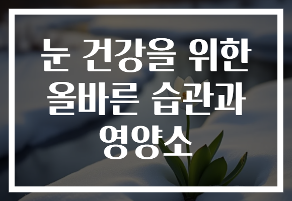 눈 건강을 위한 올바른 습관과 영양소