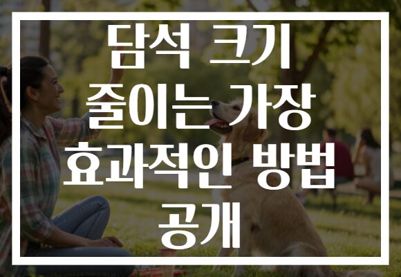 담석 크기 줄이는 가장 효과적인 방법 공개