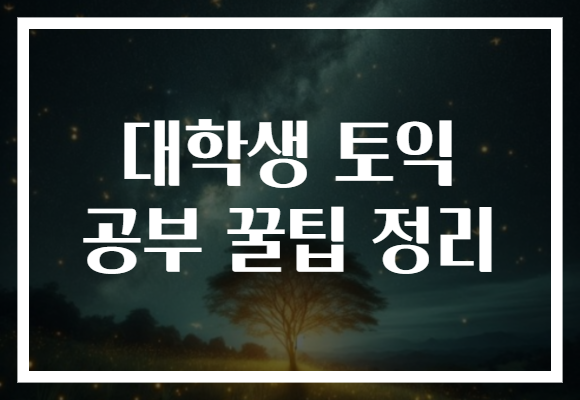 대학생 토익 공부 꿀팁 정리