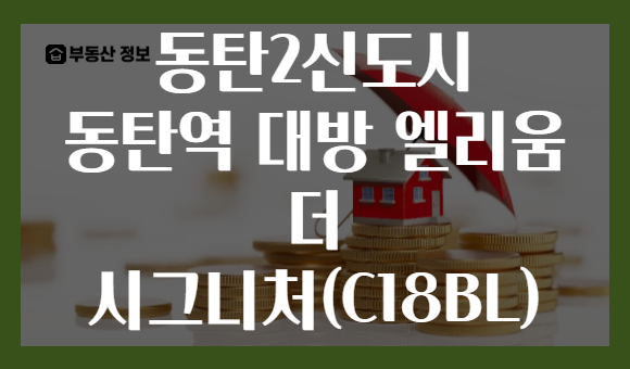 동탄2신도시 동탄역 대방 엘리움 더 시그니처(C18BL)