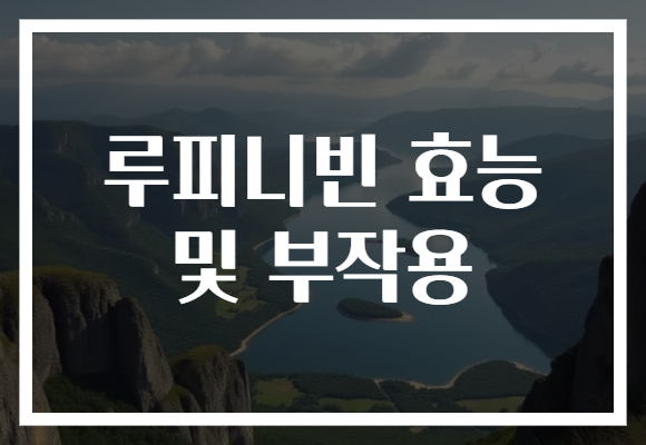 루피니빈 효능 및 부작용