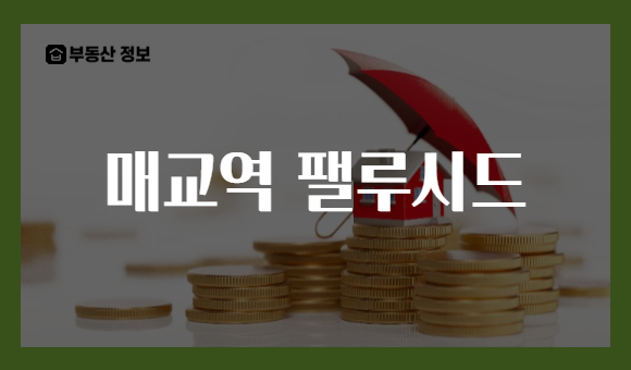 매교역 팰루시드