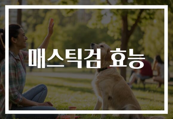 매스틱검 효능