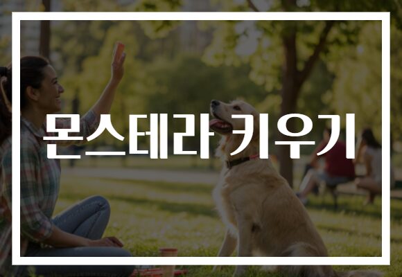 몬스테라 키우기