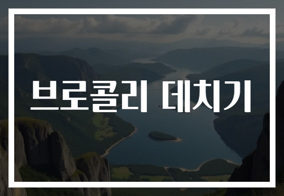 브로콜리 데치기