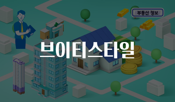 브이티스타일