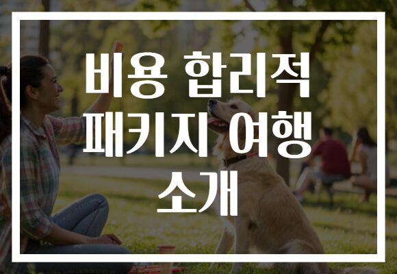 비용 합리적 패키지 여행 소개