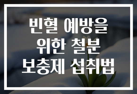 빈혈 예방을 위한 철분 보충제 섭취법