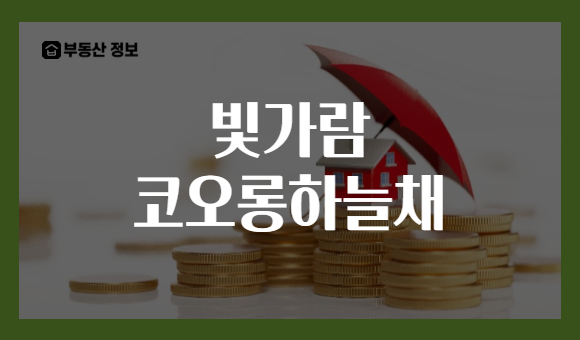 빛가람 코오롱하늘채