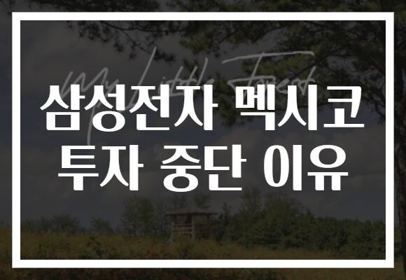 삼성전자 멕시코 투자 중단 이유