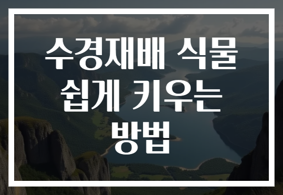수경재배 식물 쉽게 키우는 방법