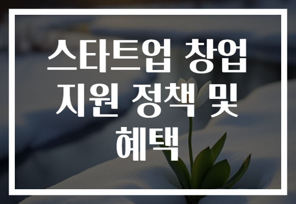 스타트업 창업 지원 정책 및 혜택