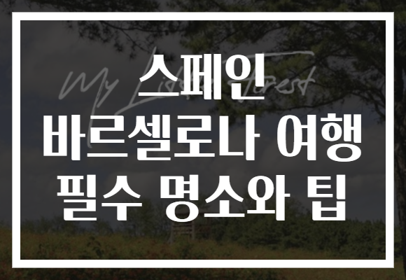 스페인 바르셀로나 여행 필수 명소와 팁