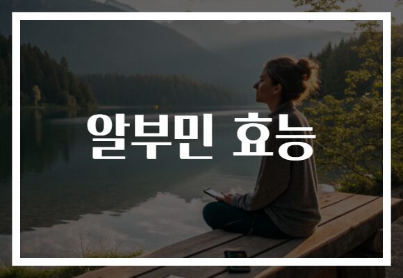 알부민 효능