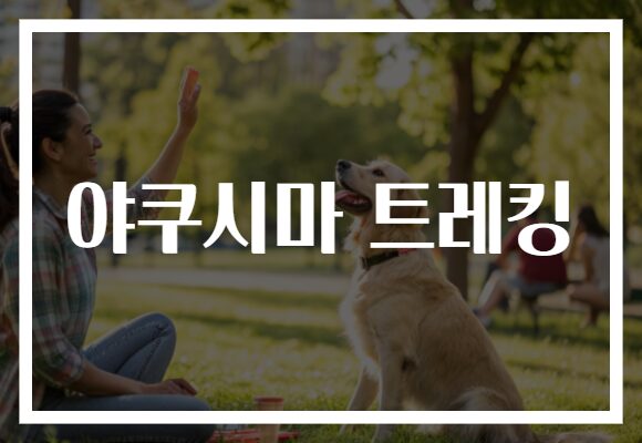 야쿠시마 트레킹