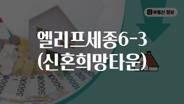엘리프세종6-3 (신혼희망타운)