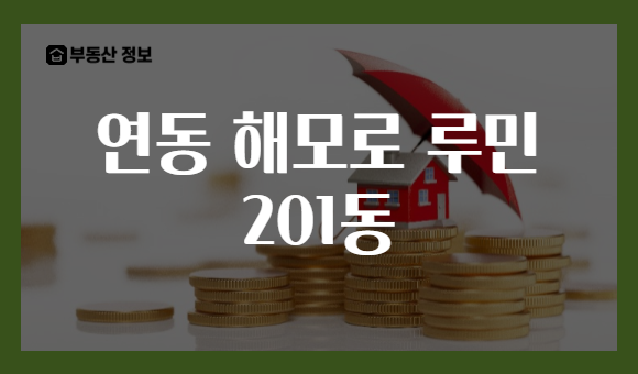 연동 해모로 루민 201동