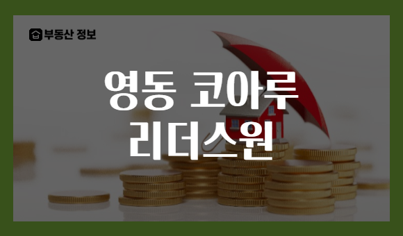 영동 코아루 리더스원