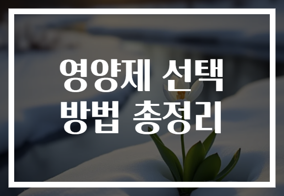 영양제 선택 방법 총정리