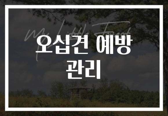오십견 예방 관리
