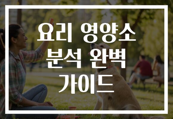 요리 영양소 분석 완벽 가이드