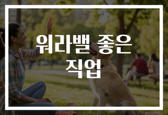 워라밸 좋은 직업