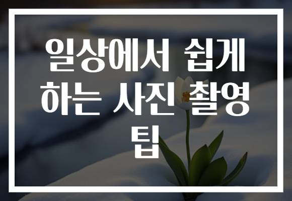 일상에서 쉽게 하는 사진 촬영 팁