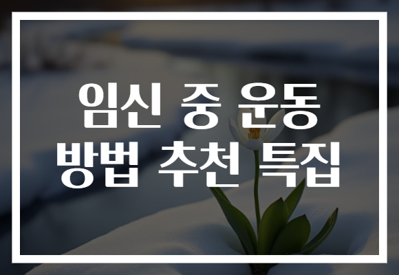 임신 중 운동 방법 추천 특집