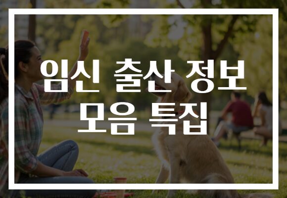 임신 출산 정보 모음 특집