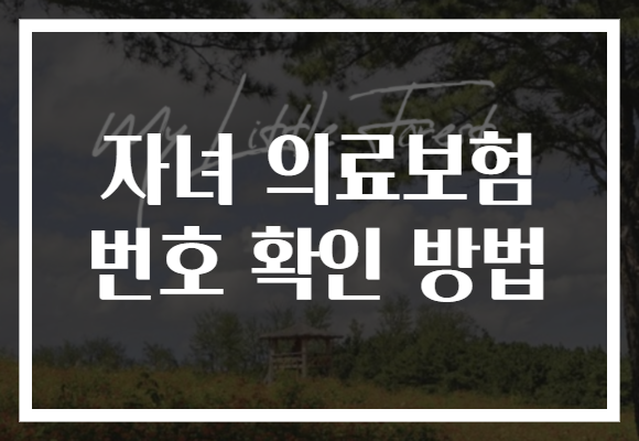 자녀 의료보험 번호 확인 방법